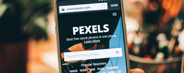 Searching for Local Business